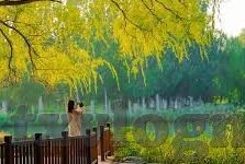 果冻传媒麻豆系列视频压缩-纯洁艺术与创意表达的界限，果冻传媒麻豆系列视频创作探索