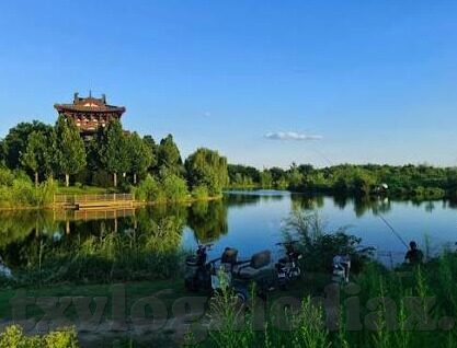 麻豆传媒女神-麻豆传媒下的多元风貌，为数字时代的美学探索