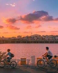 糖心vlog在线官网-探寻糖心Vlog的在线世界，精彩瞬间，触手可及